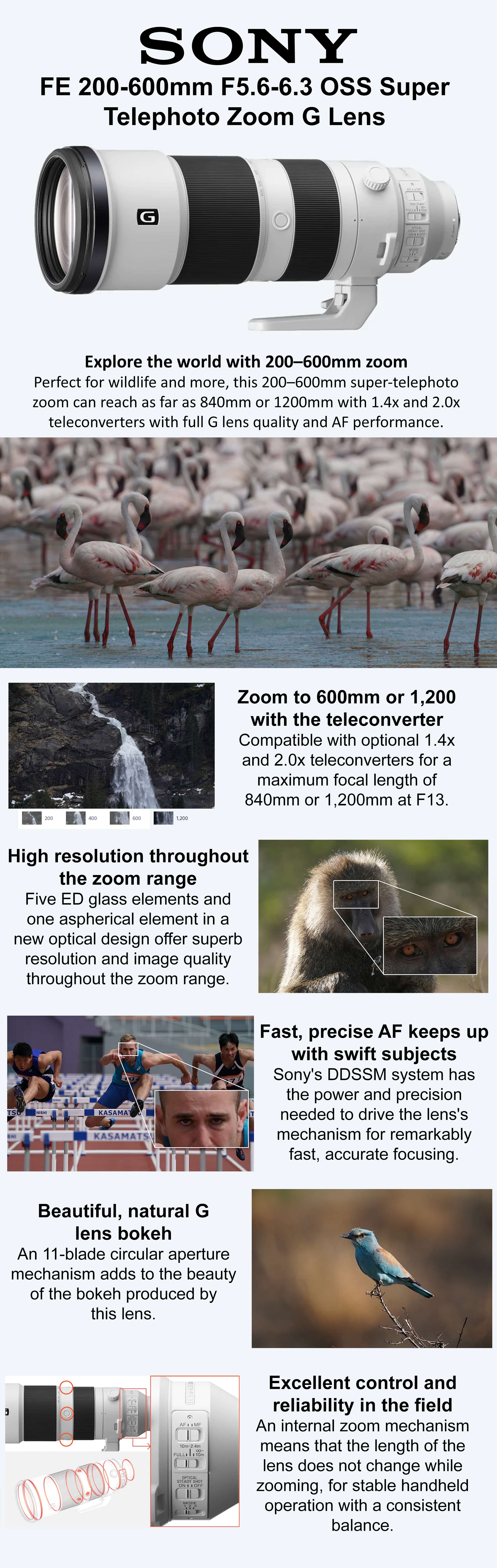 Review: Sony 200-600mm f5.6-6.3 G OSS Super Telephoto (Sony FE)