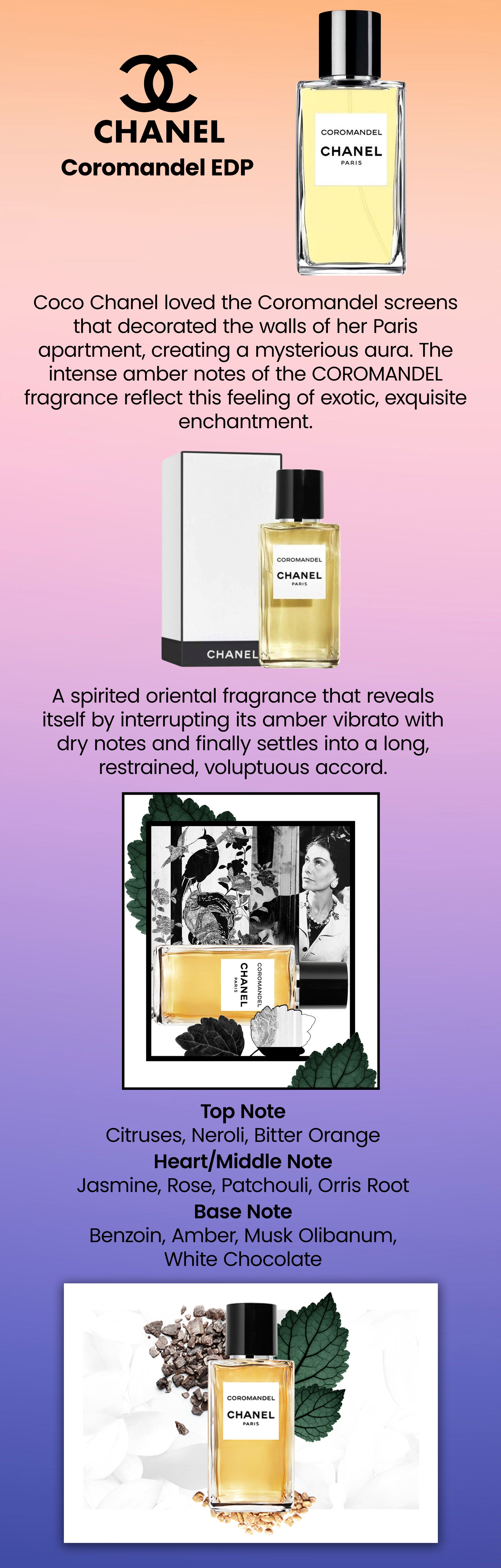 Coromandel Chanel For Women,Eau De Parfum,200Ml : Buy Online at Best Price  in KSA - Souq is now : Beauty