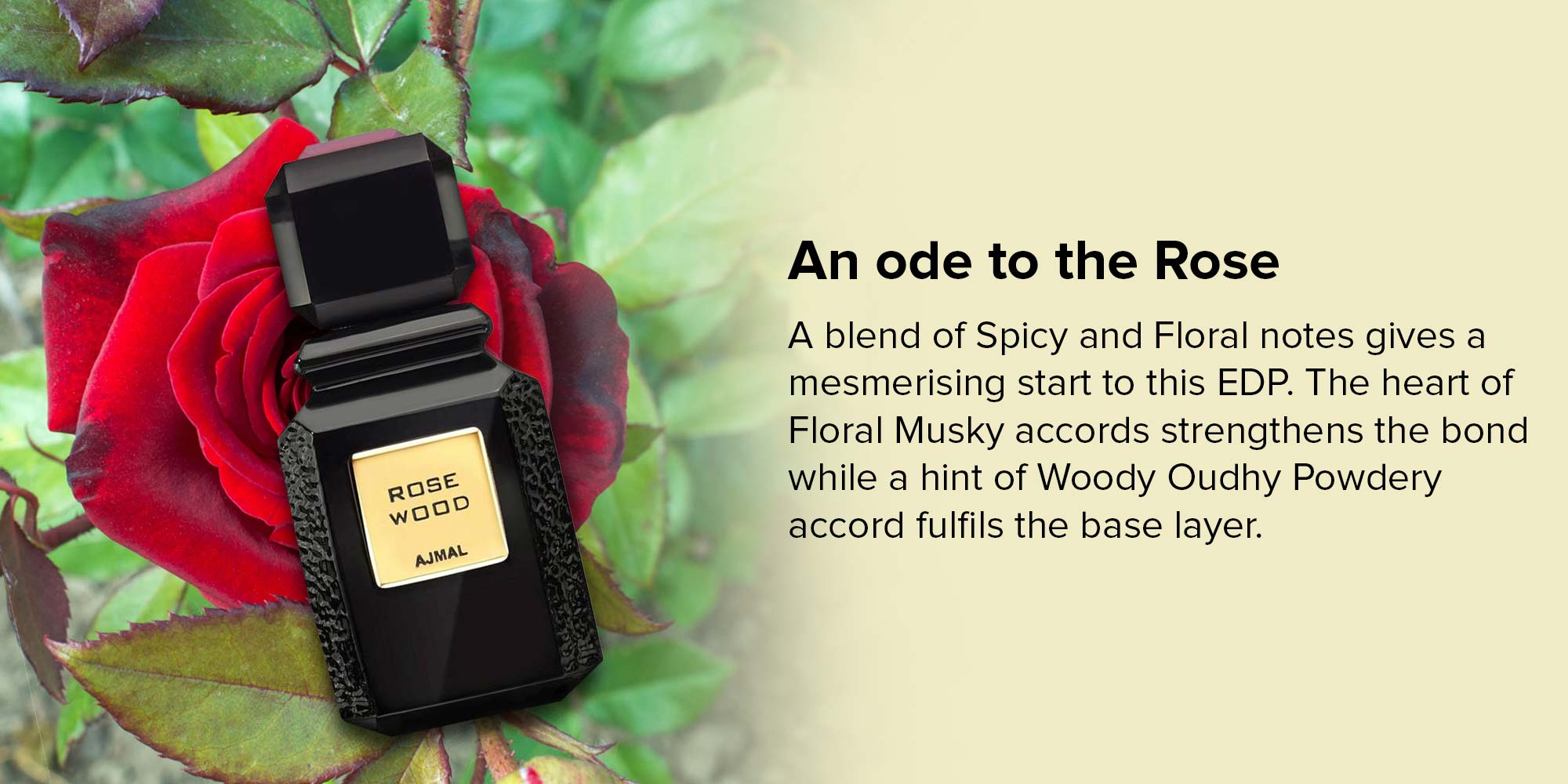 Ajmal rose wood discount perfume