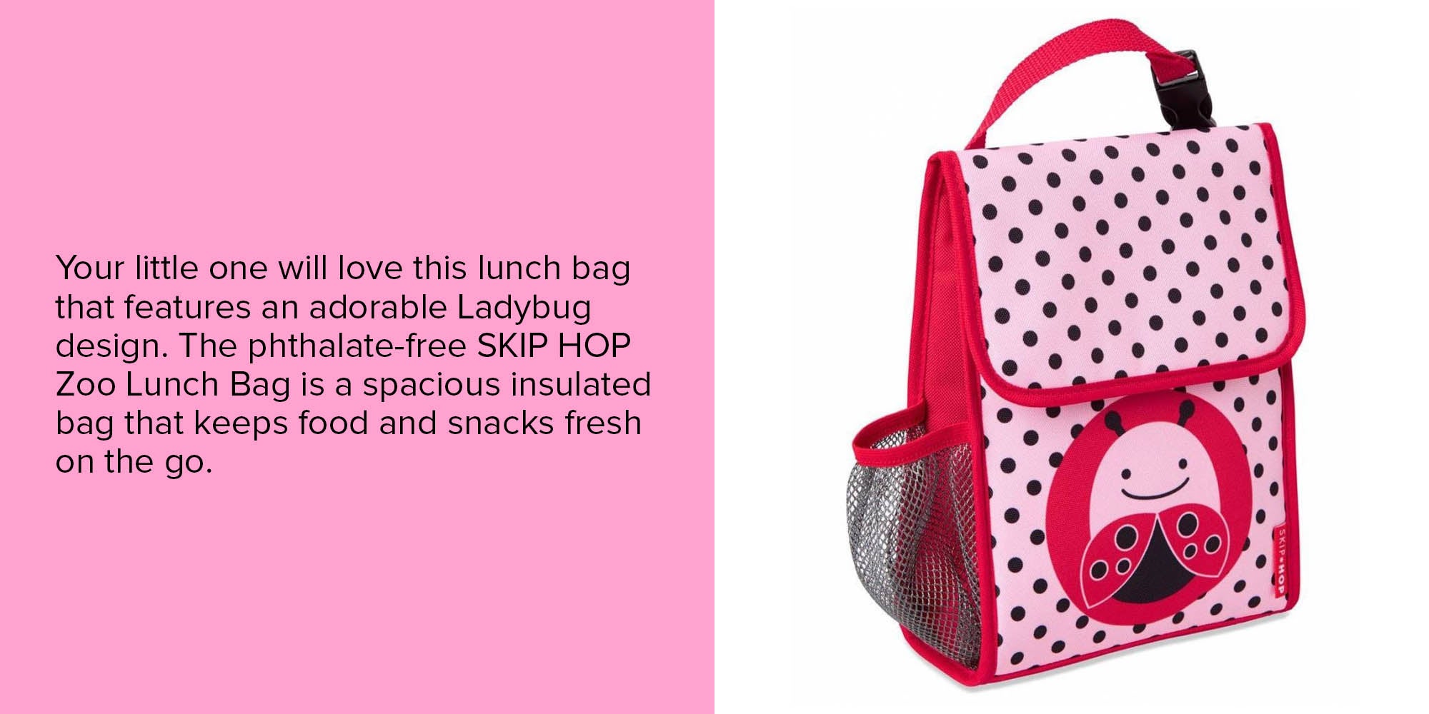 Skip hop best sale ladybug lunch box