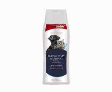 Shampoos