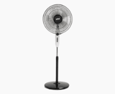 Fans