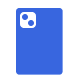 type_of_case
