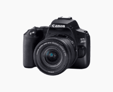 DSLR Cameras