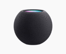 Smart Speakers