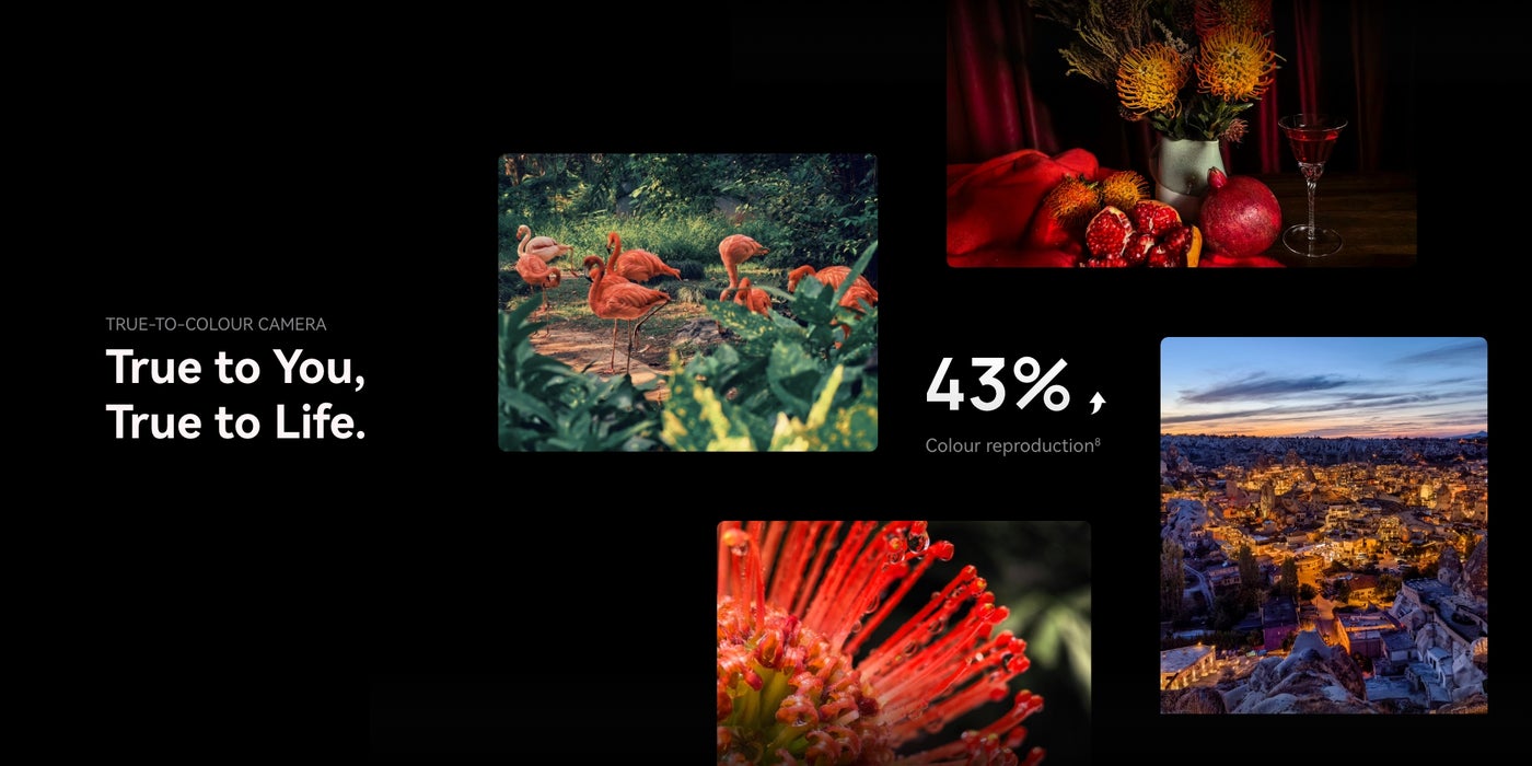 Huawei Mate X7 Dual SIM 512GB, 16GB RAM Phone (Global Version) 14