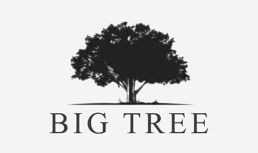 /fashion/women-31229/shoes-16238/heels/fashion-women/bigtree/?sort[by]=popularity&sort[dir]=desc&limit=50&page=1&isCarouselView=false