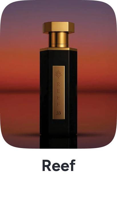 /reef/frag-men-FR_08/