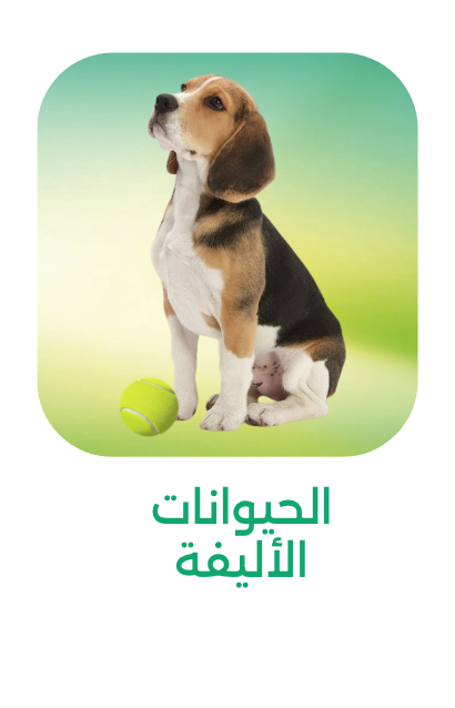 /pet-supplies?q=eco friendly&originalQuery=eco friendly&sort[by]=best_rating