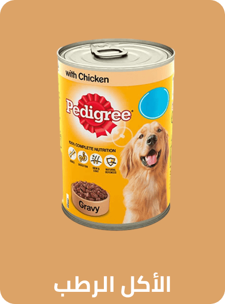 /pet-supplies/dogs-16275/food-16695/dog-wet-and-canned-food/noon-supermarket/