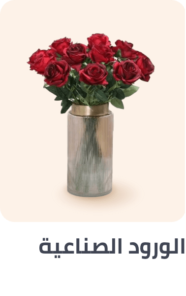 /home-and-kitchen/home-decor/artificial-flora/?f[fulfillment][]=global&q=artifical%20flowers