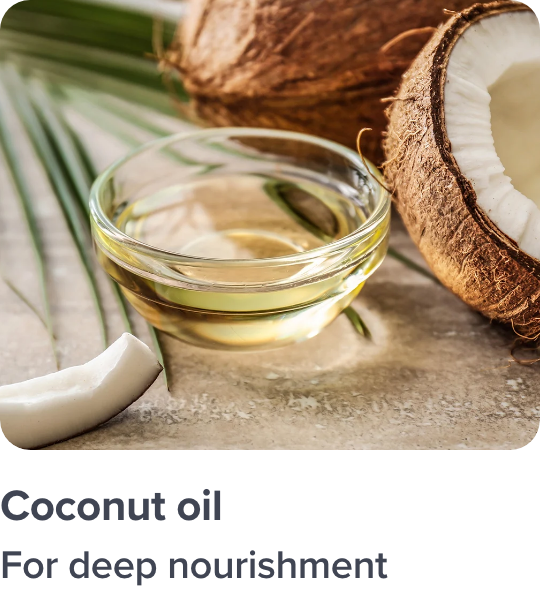 /n-coconut-oil-ingredient-haircare/