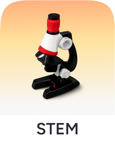 /learn-and-play-toys-ae