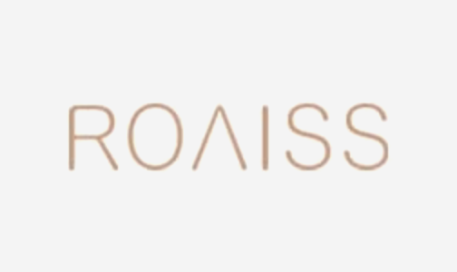 /fashion/women-31229/clothing-16021/dresses-17612/roaiss