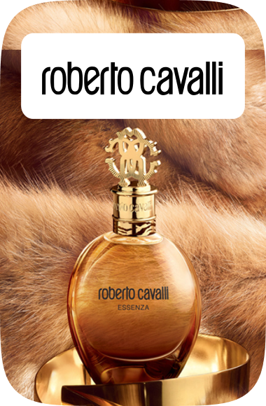 /roberto_cavalli?sort[by]=popularity&sort[dir]=desc&limit=50