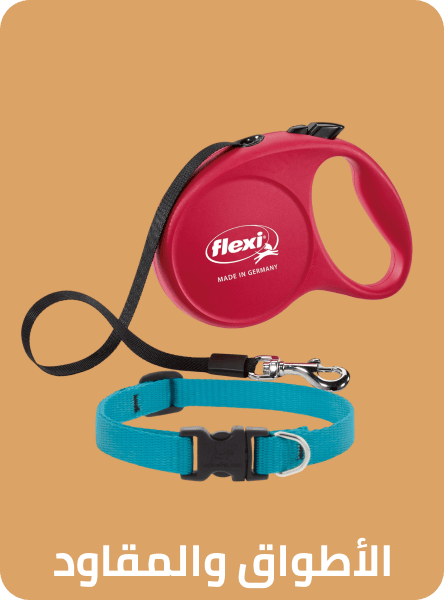 /pet-supplies/dogs-16275/dog-training-and-behavior-aids/collars-harnesses-and-leashes-17359/noon-supermarket/