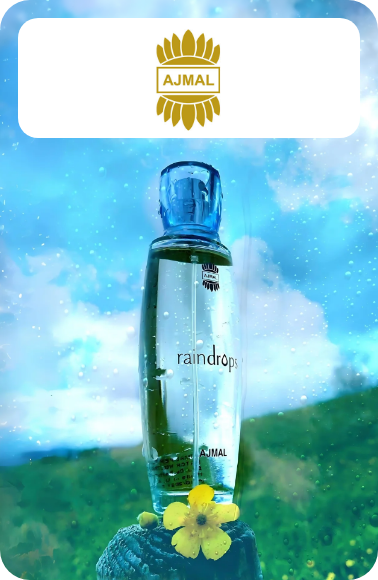 /ajmal?sort[by]=popularity&sort[dir]=desc&limit=50