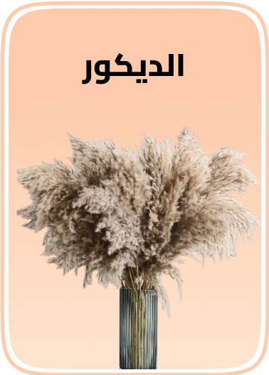 /home-and-kitchen/home-decor/home-decor-accents/?f%5Bfulfillment%5D%5B%5D=rocket
