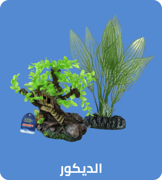 /pet-supplies/fish-and-aquatic-pets/aquarium-decor/noon-supermarket/