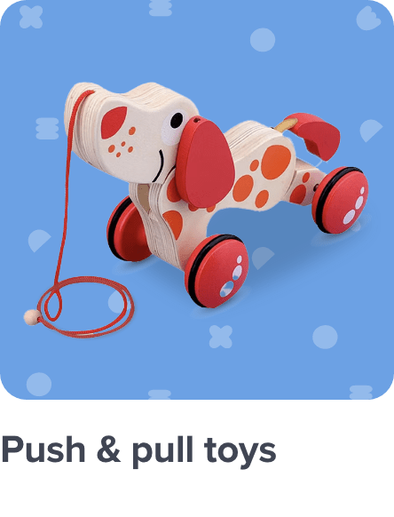 /toys-and-games/baby-and-toddler-toys/push-and-pull-toys-20494?sort[by]=popularity&sort[dir]=desc&av=0&limit=50