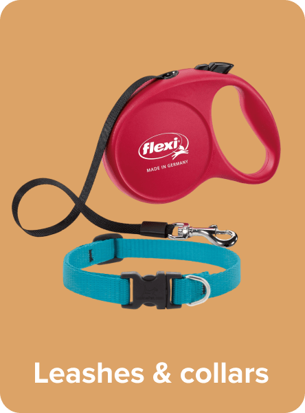 /pet-supplies/dogs-16275/dog-training-and-behavior-aids/collars-harnesses-and-leashes-17359/noon-supermarket/