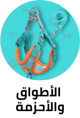 /pet-supplies/dogs-16275/collars-harnesses-and-leashes-17359?sort[by]=popularity&sort[dir]=desc