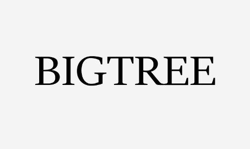/fashion/women-31229/shoes-16238/heels/bigtree