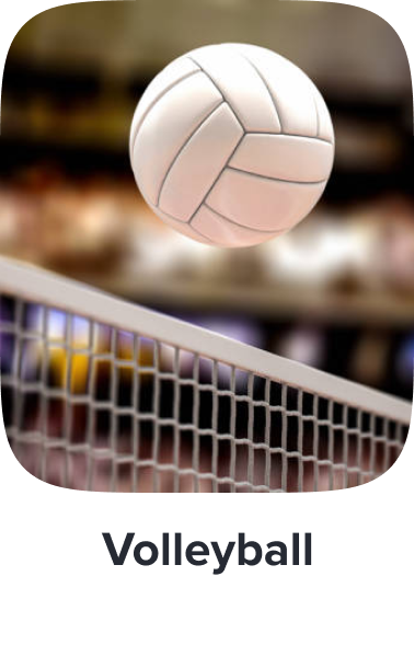 /sports-and-outdoors/sports/team-sports/volleyball-16527/