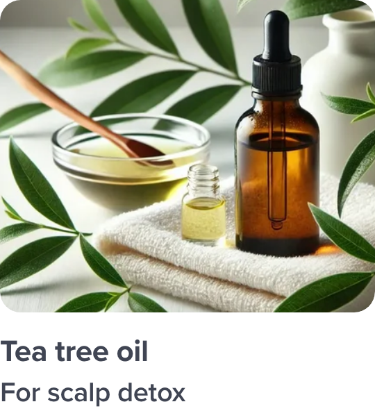 /n-tea-tree-ingredient-haircare/