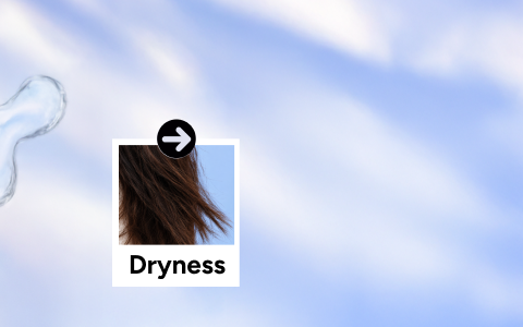 /hydration-haircare/