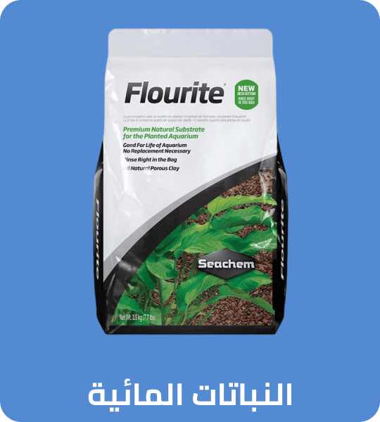 /pet-supplies/fish-and-aquatic-pets/aquarium-plant-care/noon-supermarket/