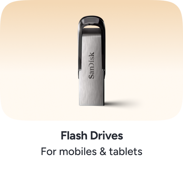 /electronics-and-mobiles/computers-and-accessories/computer-accessories/data-storage/usb-flash-drives/