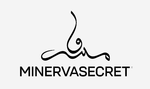 /fashion/women-31229/clothing-16021/swim-16113/minerva_secrets