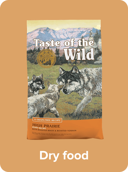 /pet-supplies/dogs-16275/food-16695/dog-dry-food/noon-supermarket/