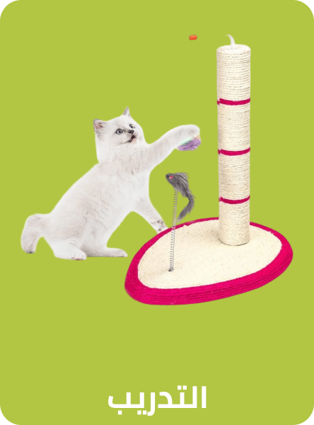/pet-supplies/cats-16737/cat-training-and-behavior-aids/noon-supermarket/