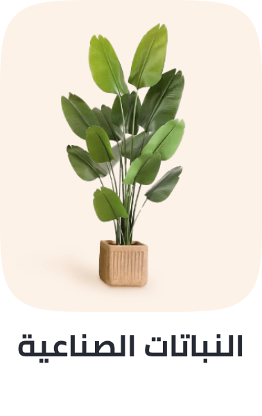 /home-and-kitchen/home-decor/artificial-flora/artificial-trees?sort[by]=popularity&sort[dir]=desc&limit=50