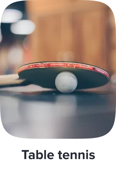 /sports-and-outdoors/sports/racquet-sports-16542/table-tennis-18224/