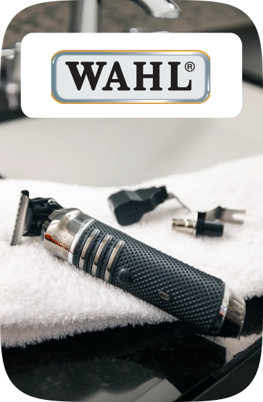 /wahl/p-9404