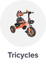/toys-and-games/tricycles-scooters-and-wagons/tricycles?sort[by]=popularity&sort[dir]=desc&limit=50