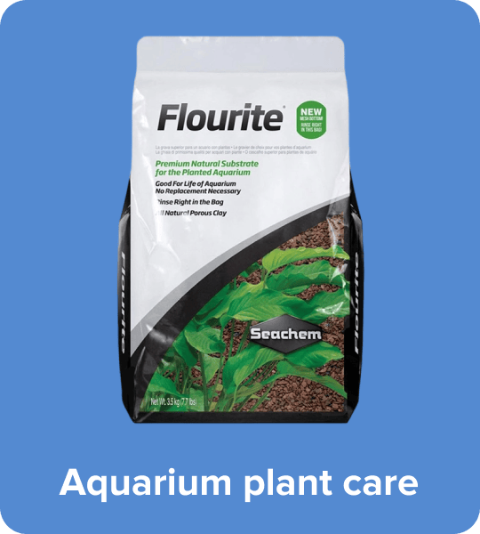 /pet-supplies/fish-and-aquatic-pets/aquarium-plant-care/noon-supermarket/