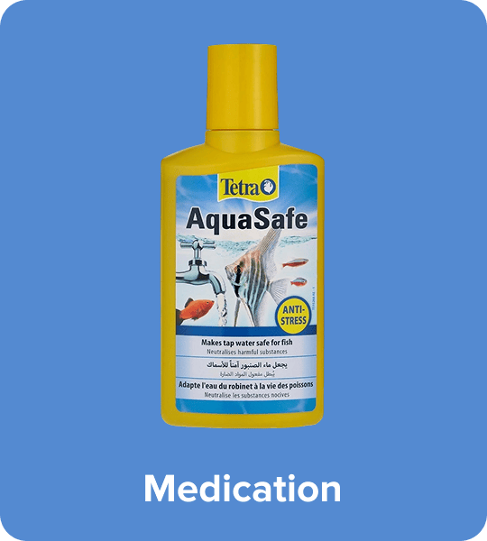 /pet-supplies/fish-and-aquatic-pets/medication/noon-supermarket/