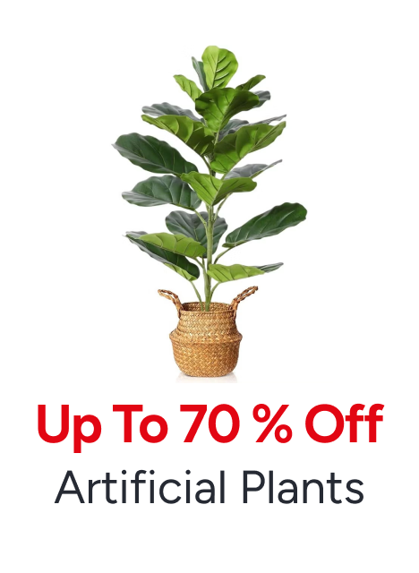 /home-and-kitchen/home-decor/artificial-flora/home-kitchen-november-ae-25/