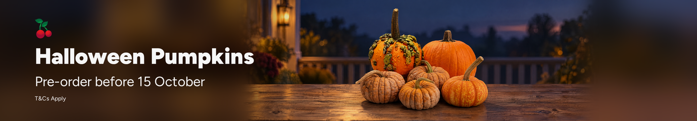 /halloween-pumpkins-2026/