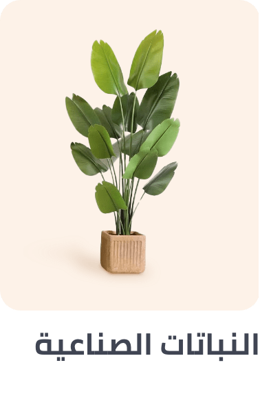 /home-and-kitchen/home-decor/artificial-flora/?f[fulfillment][]=global&q=artifical%20plants