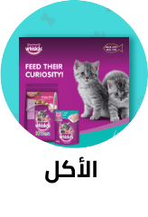 /pet-supplies/cats-16737/food-20631?sort[by]=popularity&sort[dir]=desc