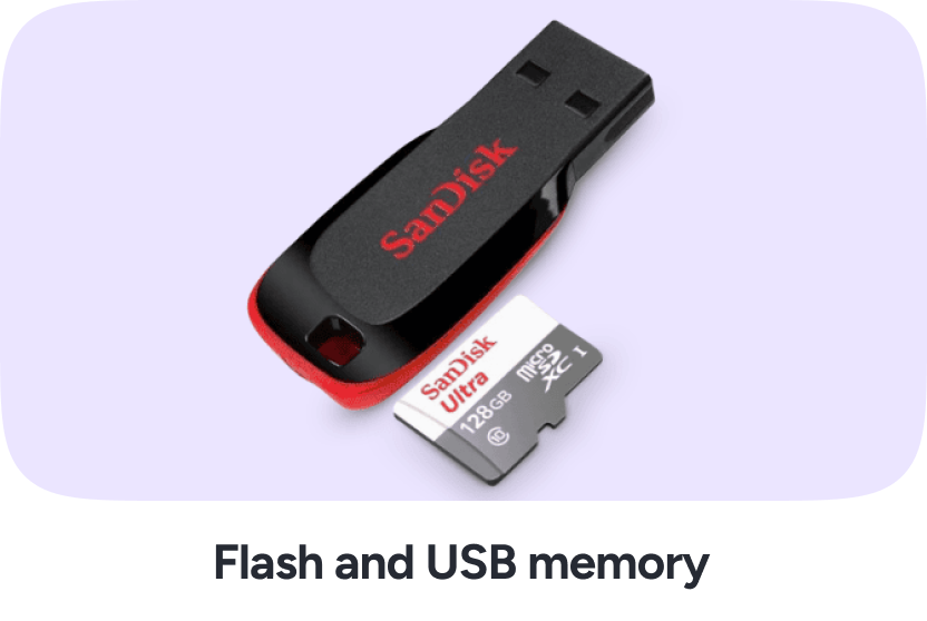 /electronics-and-mobiles/computers-and-accessories/data-storage/usb-flash-drives?sort[by]=popularity&sort[dir]=desc&limit=50