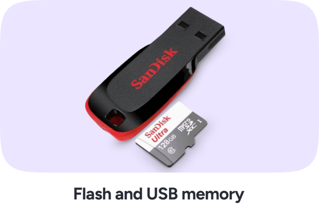 /electronics-and-mobiles/computers-and-accessories/data-storage/usb-flash-drives?sort[by]=popularity&sort[dir]=desc&limit=50