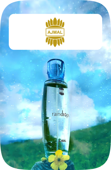 /ajmal?sort[by]=popularity&sort[dir]=desc&limit=50