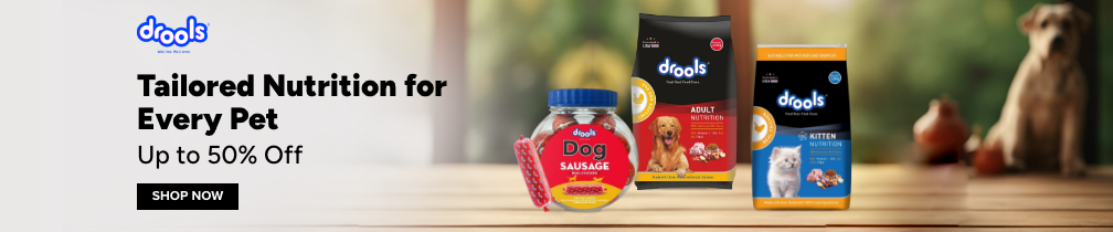 /drools/?f[partner][]=p_287285