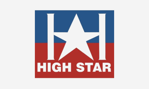 /fashion/women-31229/clothing-16021/skirts-16617/high_star